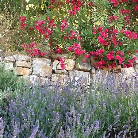 Bed & Breakfast L'oustaou Piscine & 3*